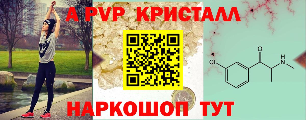 A-PVP СК КРИС Владикавказ