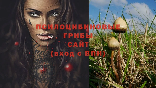 сатива Абдулино