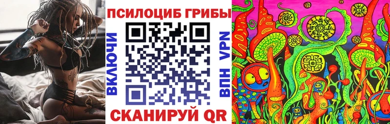 Псилоцибиновые грибы мицелий  Владикавказ 