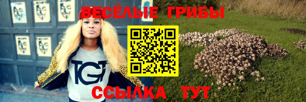 Галлюциногенные грибы прущие грибы  Псилоцибиновые грибы Magic Shrooms  Владикавказ  Вход с VPN 