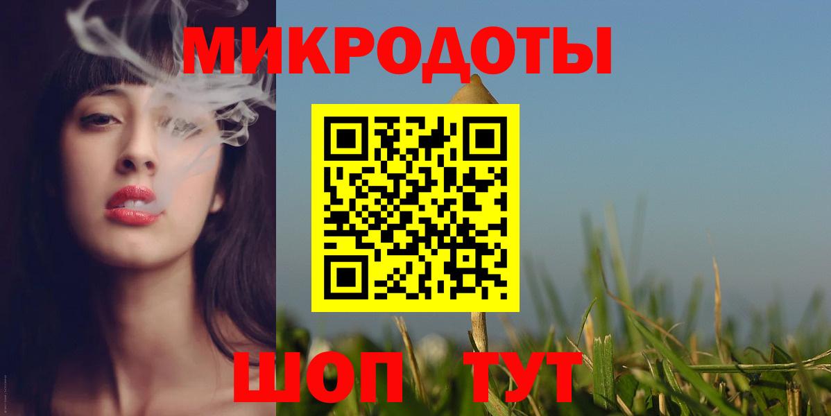 Псилоцибиновые грибы Psilocybine cubensis Владикавказ