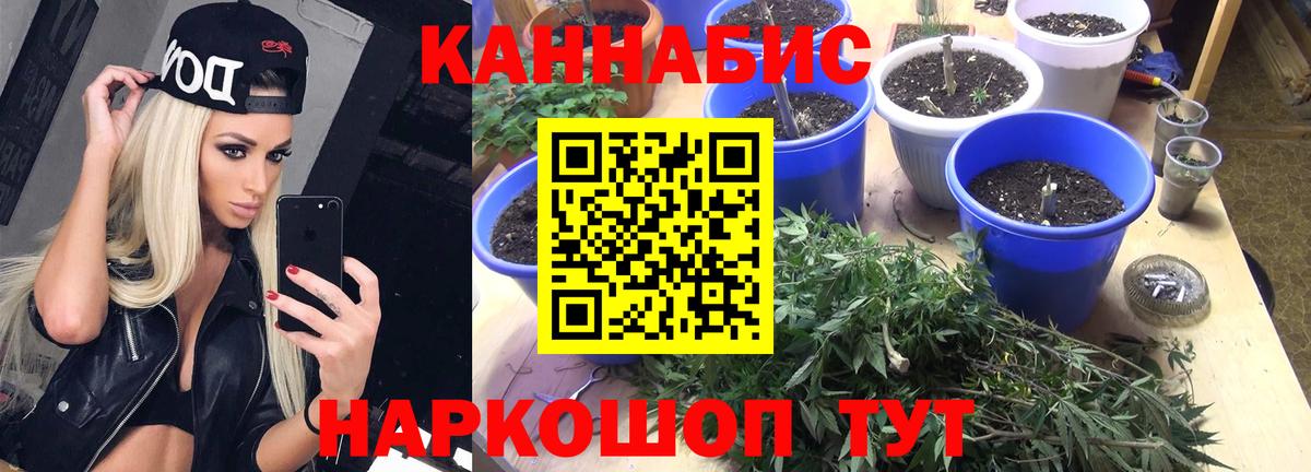 Каннабис VHQ  Каннабис Bruce Banner  Вход с VPN  Владикавказ 